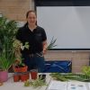 Indoor Plants Workshop